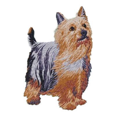 【オーストラリアンシルキーテリア_3】Dog刺繍ワッペン nui tag オーストラリアンシルキーテリア