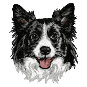 【ボーダーコリー_1】Dog刺繍ワッペン nui tag ボーダーコリー
