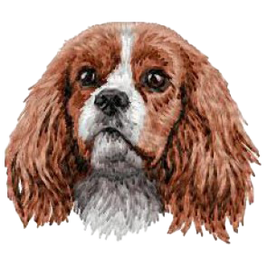 【キャバリア・キング・チャールズ・スパニエル_4】Dog刺繍ワッペン nui tag キャバリア・キング・チャールズ・スパニエル