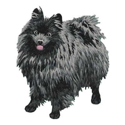 【ジャーマン・スピッツ_3】Dog刺繍ワッペン nui tag ジャーマン・スピッツ