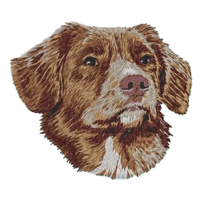 【ノヴァ・スコシア・ダック・トーリング・レトリバー_2】Dog刺繍ワッペン nui tag ノヴァ・スコシア・ダック・トーリング・レトリバー