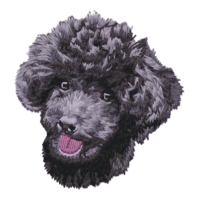 【トイプードル_3】Dog刺繍ワッペン nui tag トイプードル