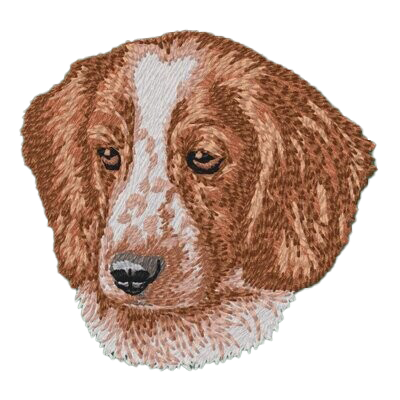 【ウェルシュ・スプリンガー・スパニエル_2】Dog刺繍ワッペン nui tag ウェルシュ・スプリンガー・スパニエル