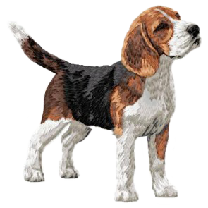 【ビーグル_4】Dog刺繍ワッペン nui tag ビーグル