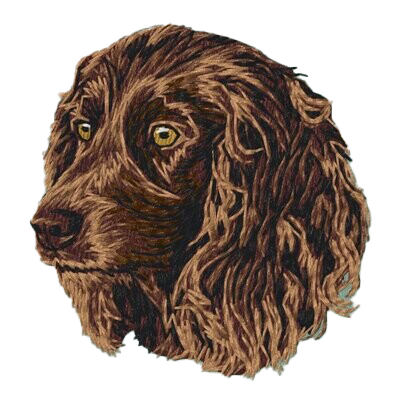 【ボイキンスパニエル_1】Dog刺繍ワッペン nui tag ボイキンスパニエル