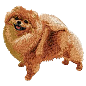 【ポメラニアン_6】Dog刺繍ワッペン nui tag ポメラニアン