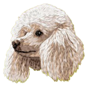 【プードル_3】Dog刺繍ワッペン nui tag プードル