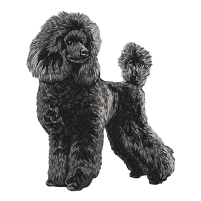 【プードル_7】Dog刺繍ワッペン nui tag プードル